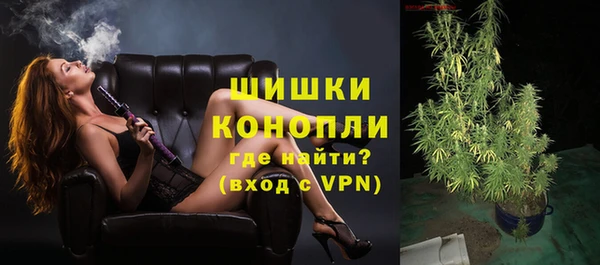 прущие грибы Кинешма