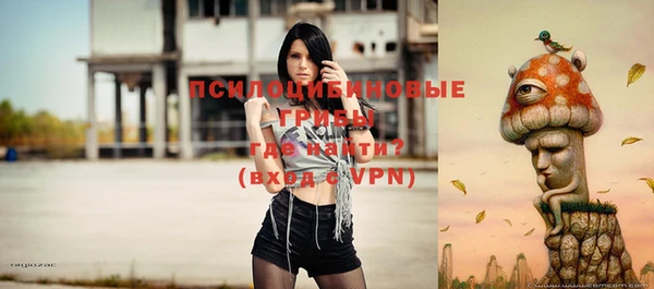 прущие грибы Кинешма