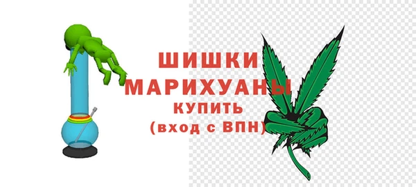 прущие грибы Кинешма