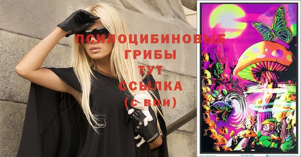 прущие грибы Кинешма