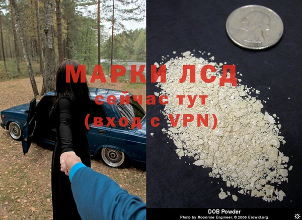 прущие грибы Кинешма