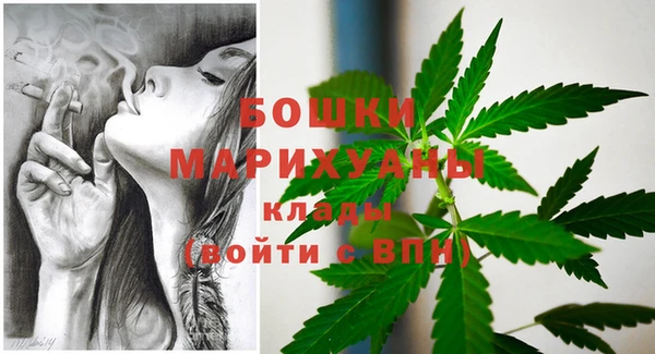 прущие грибы Кинешма