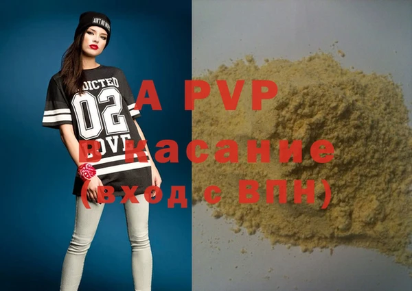 прущие грибы Кинешма